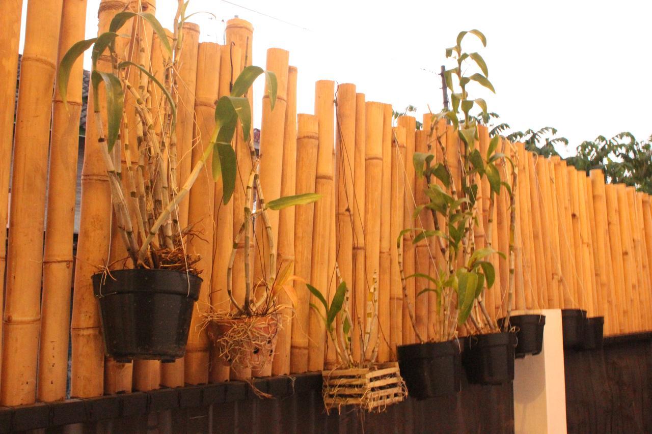 The Wayang Homestay Γιογκιακάρτα Εξωτερικό φωτογραφία